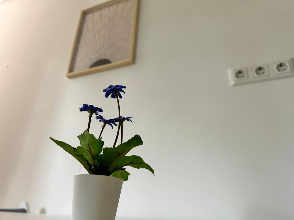 Prime Suites Near Schoenbrunn Castle Wenen Buitenkant foto